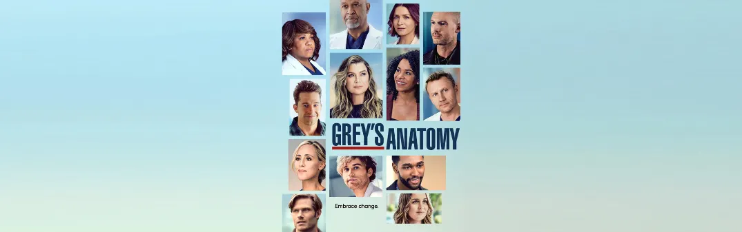 Grey's Anatomy season 19 poster.