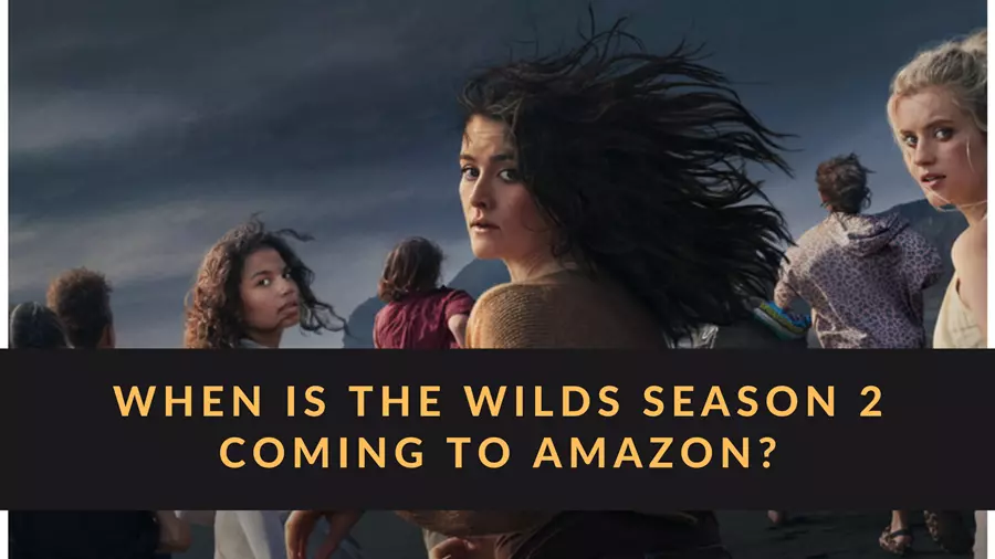 When will the teen girls of survival drama The Wilds back for a season 2?